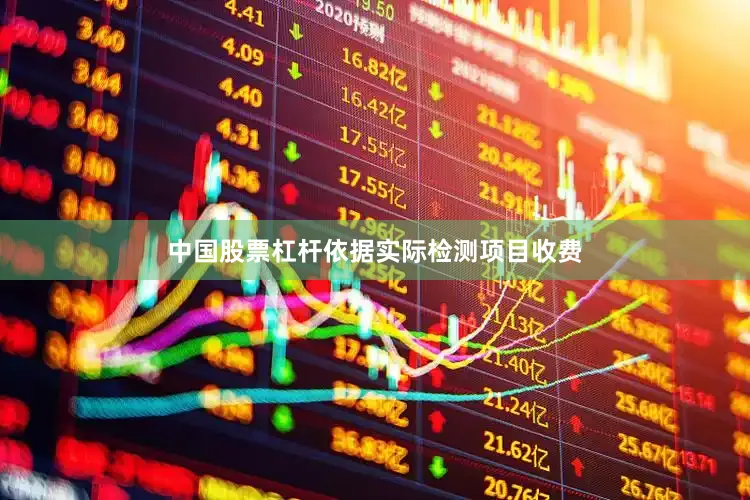 中国股票杠杆依据实际检测项目收费